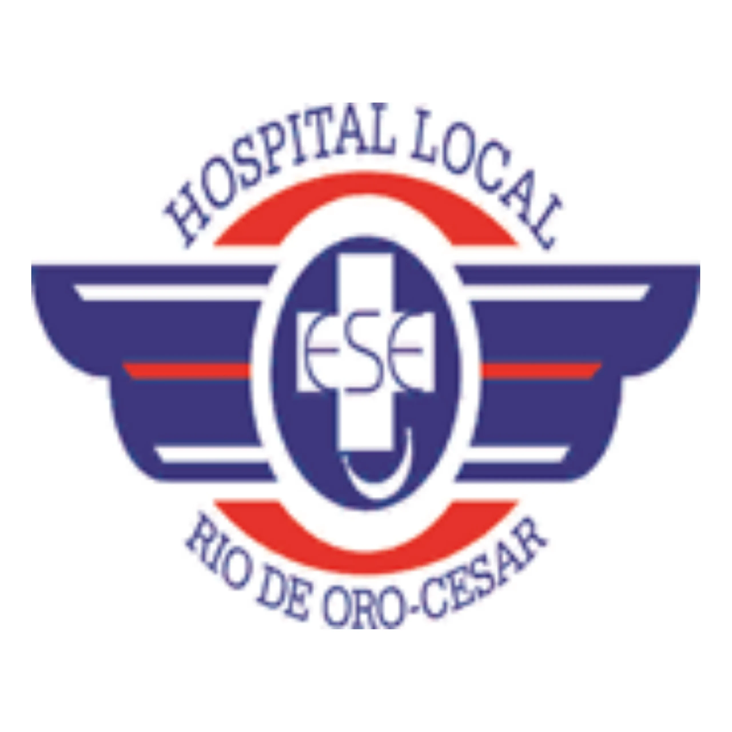 LOGO HOSPITAL LOCAL RÍO DE ORO CESAR
